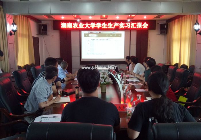 大學(xué)生實習(xí)匯報.jpg